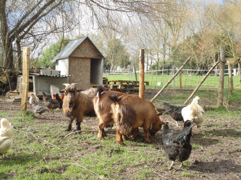 Saint-Saturnin-du-Bois Les 2 Madeleine B&B 외부 사진