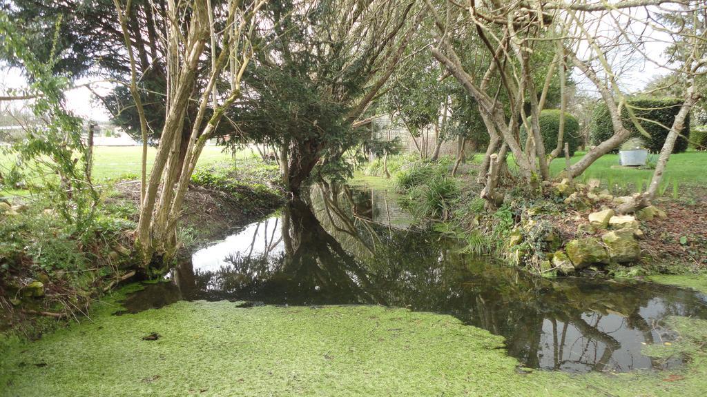 Saint-Saturnin-du-Bois Les 2 Madeleine B&B 외부 사진