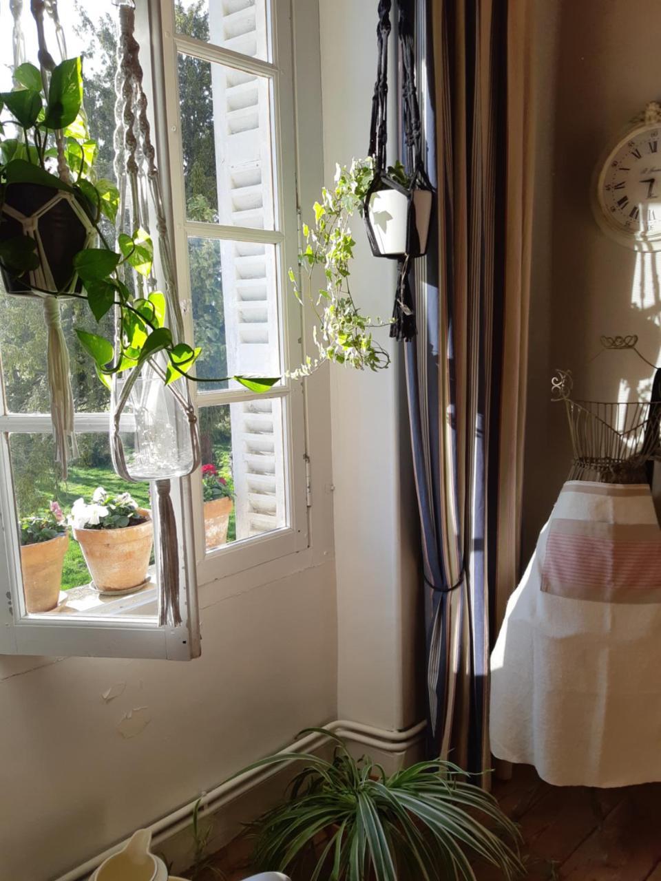 Saint-Saturnin-du-Bois Les 2 Madeleine B&B 외부 사진